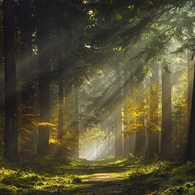 “二当家”全部持股被拍卖 江西首家民营银行再现大额股权变动