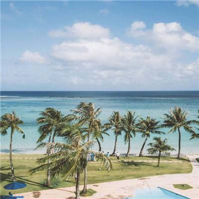 55世纪登陆手机版